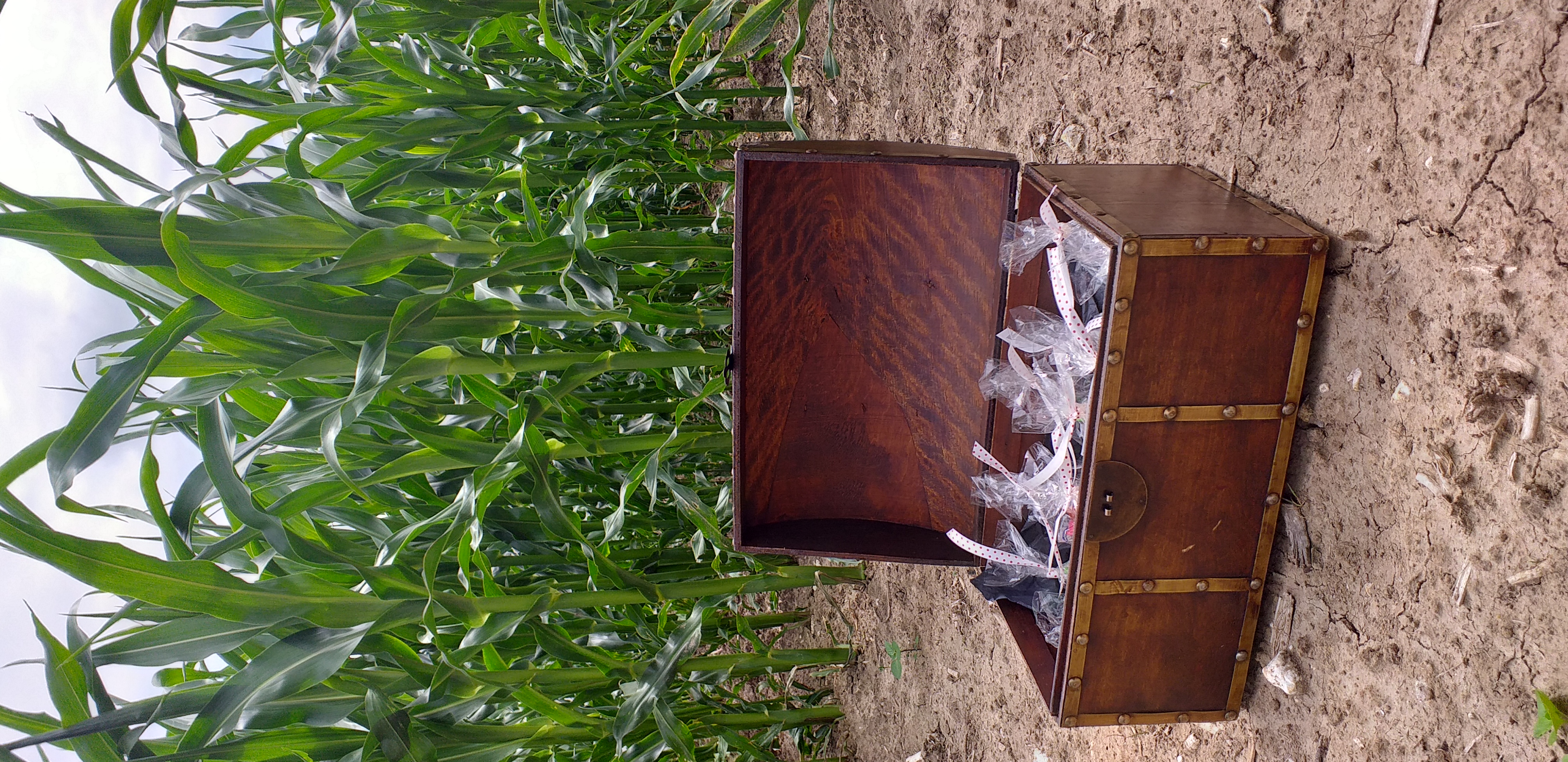 Chasse au Trésor à Rexpoëde