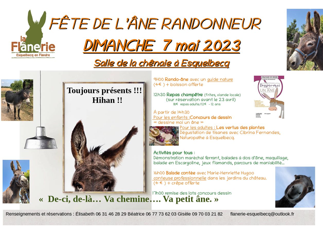 fête de l'âne randonneur Esquelbecq.jpg