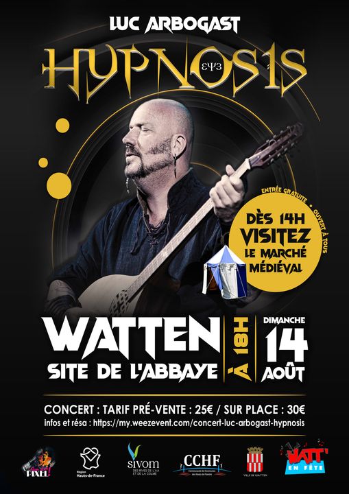 concert Luc Arbogast août 2022.jpg