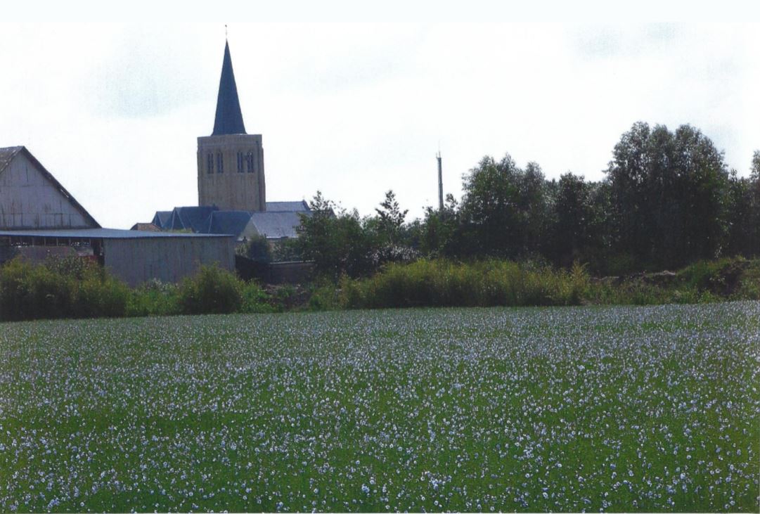 église et champs de lin Killem.JPG