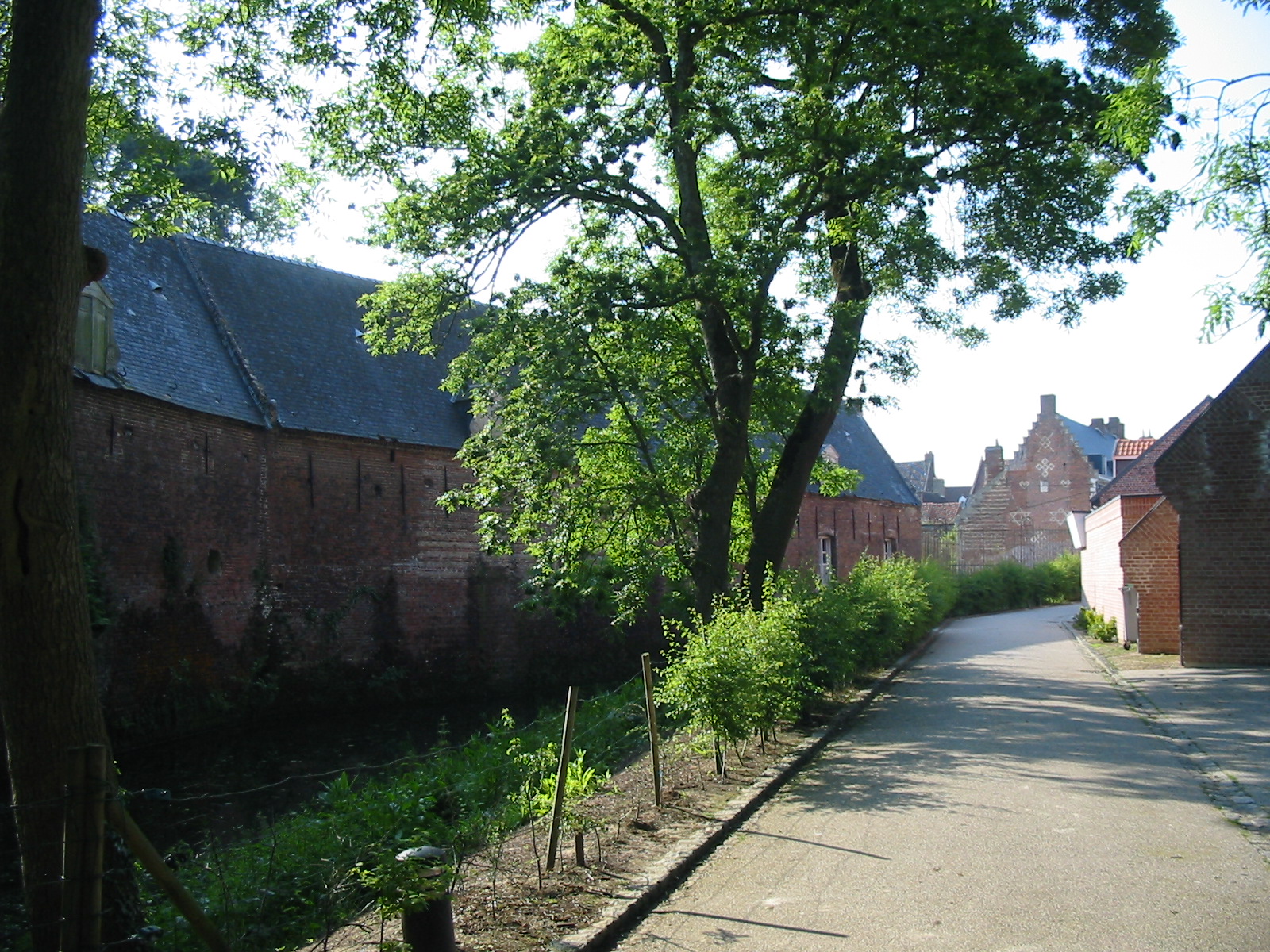 allée travers.JPG