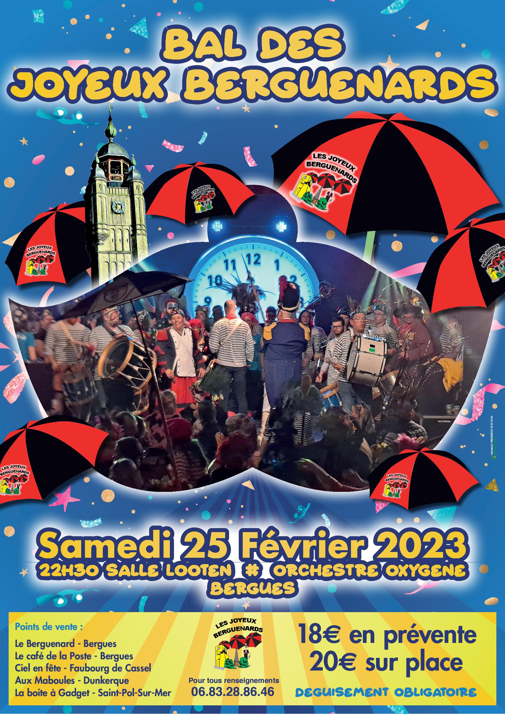 bal carnaval Bergues.jpg