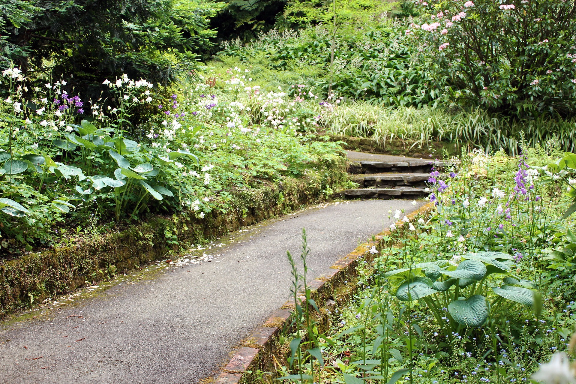 Rubrique Jardin public.jpg