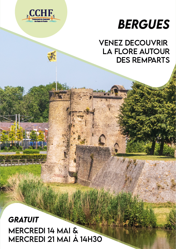 balade_-_bergues_002_0.png