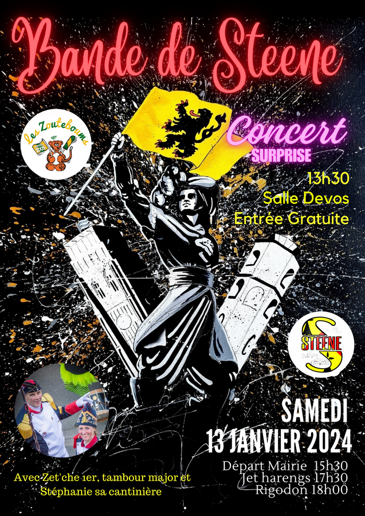 STEENE affiche bande 2024.png