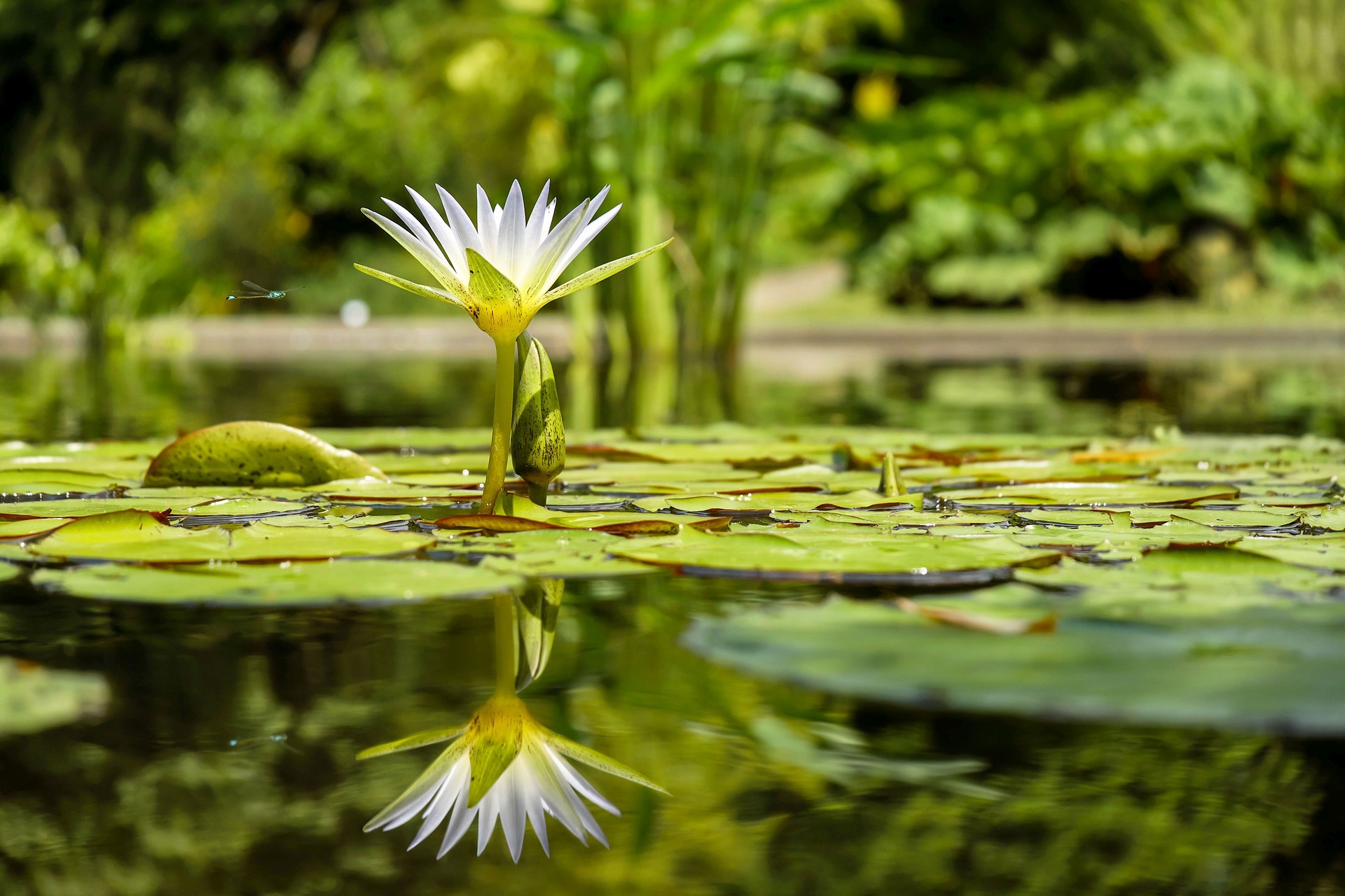 Rubrique autour de l'eau.jpg