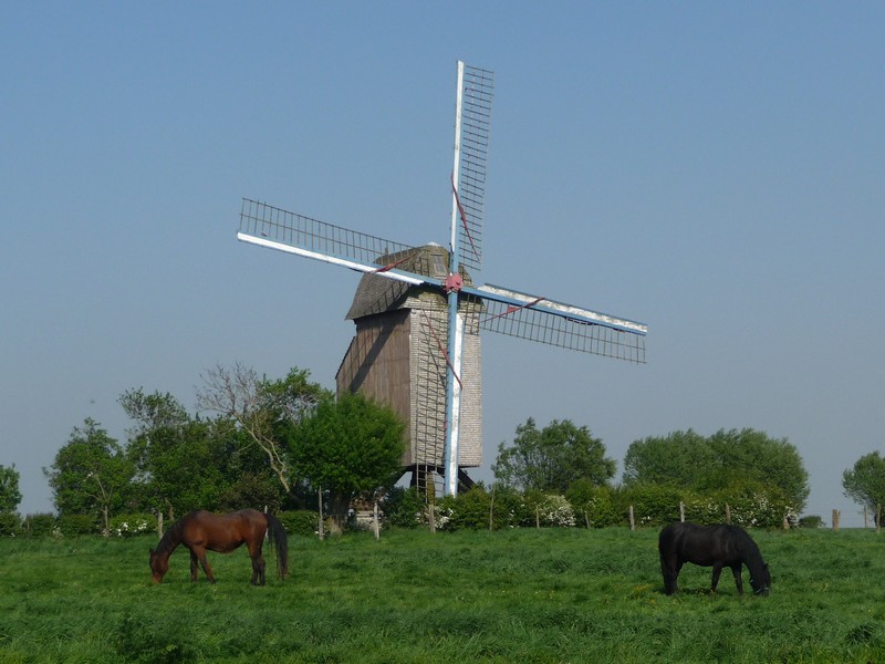 moulin Pitgam avec chevaux.JPG