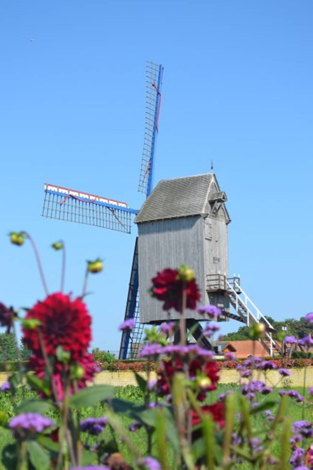 moulin-spinnewyn-1.jpg