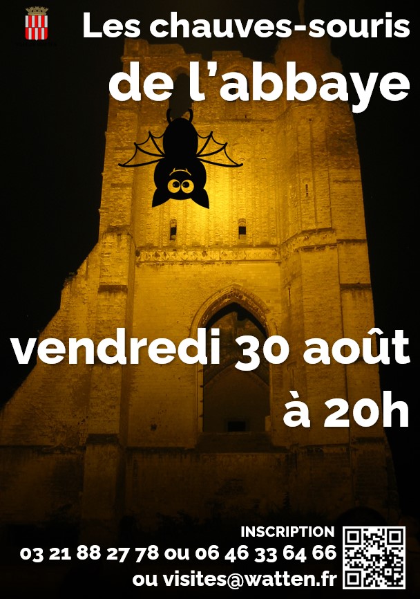 2024-08-30-Les-chauves-souris-de-labbaye-de-Watten.jpg