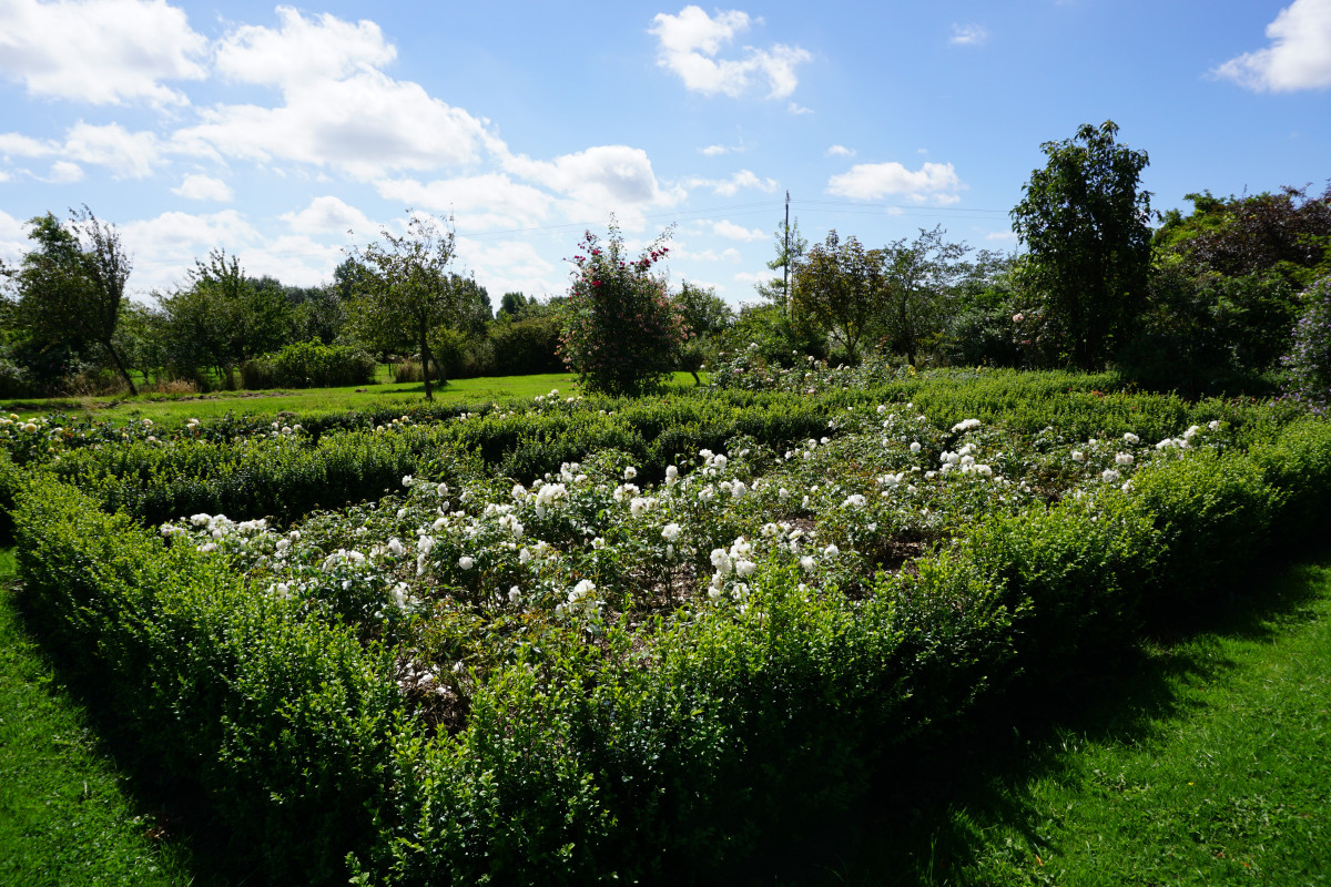 Senteurs Parc 5.JPG