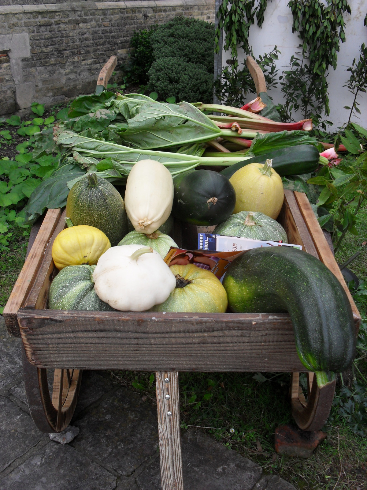 Fête des jardins et légumes anciens Bergues (5).JPG