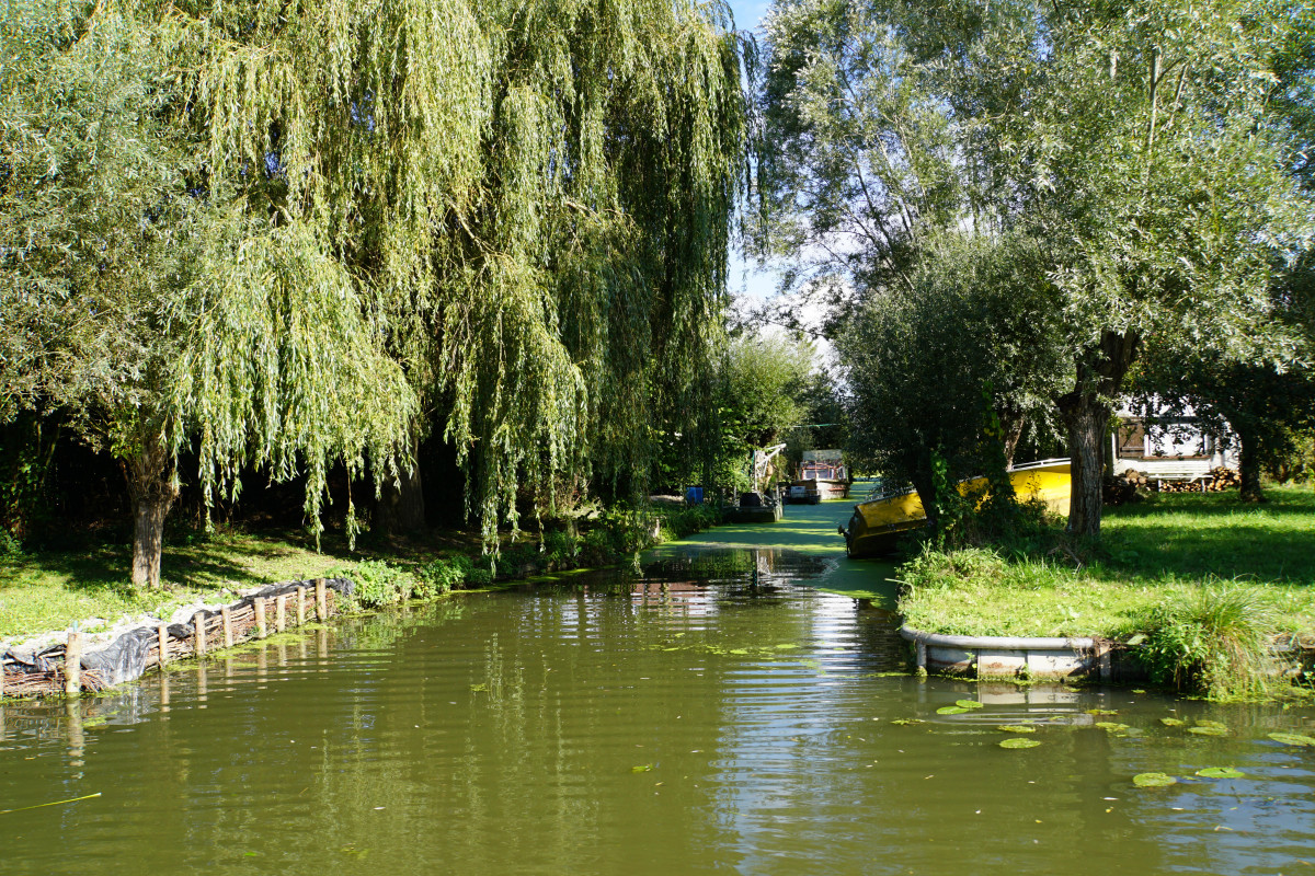 Marais de Nieurlet.JPG