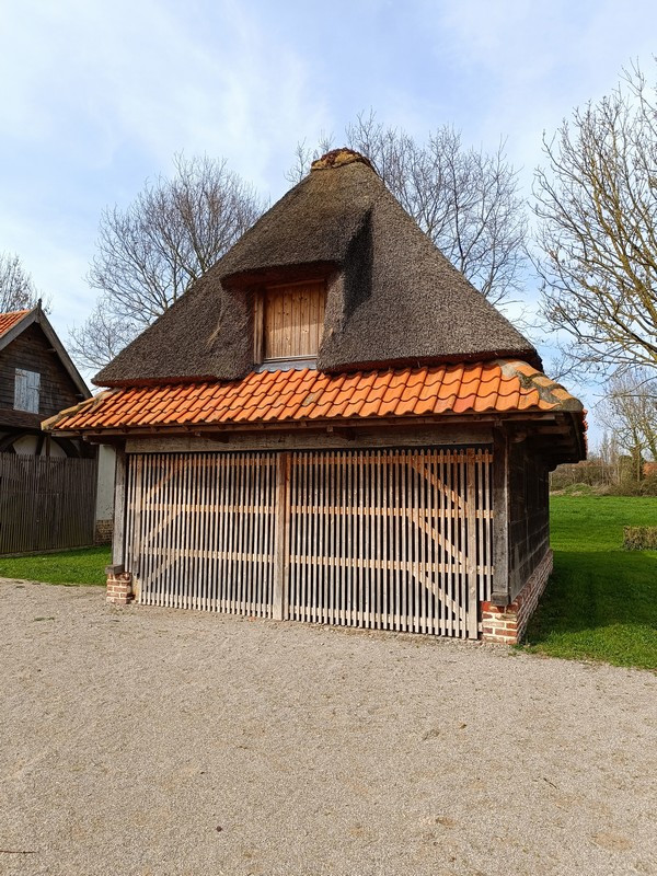 grange toit de chaumeVolcke.jpg