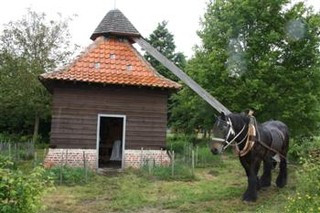 Moulin à cheval.jpg