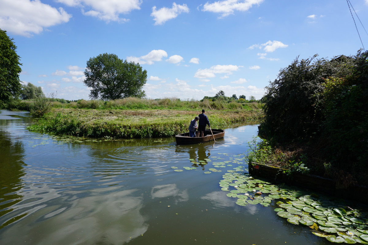 Marais à Nieurlet.JPG