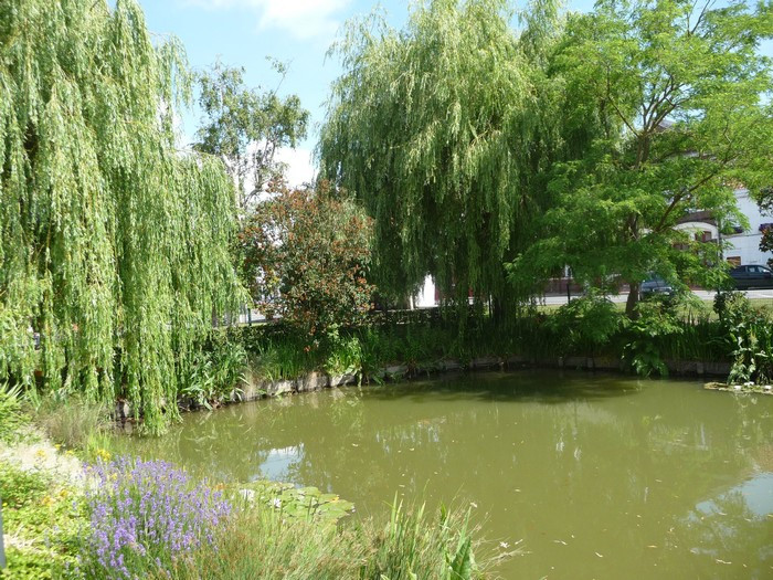 mare-aux-diable Pitgam.jpg
