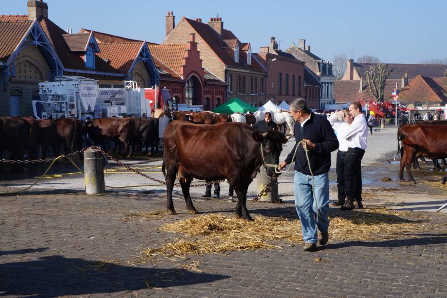 Foire des Rameaux Bergues 2017.JPG