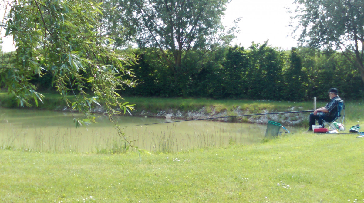 le groene veld etang occupé.jpg