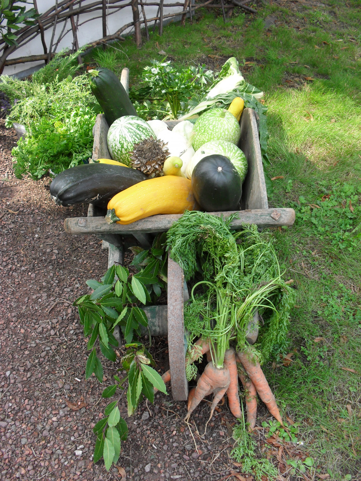 Fête des jardins et légumes anciens Bergues (6).JPG