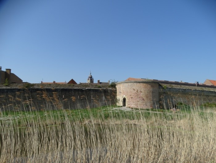 Tour des Couleuvriniers.jpg