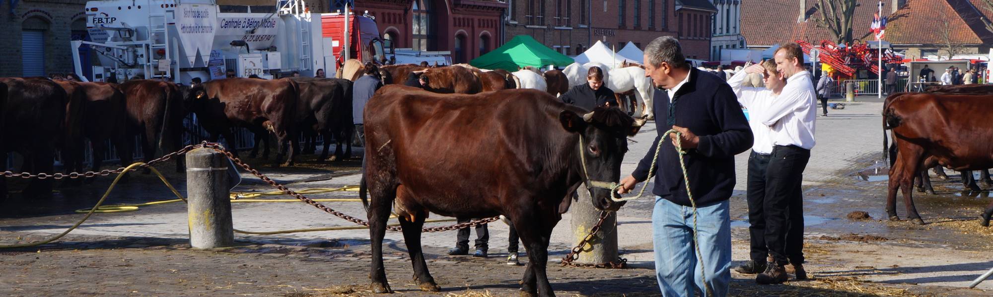 Foire des Rameaux Bergues 2017.JPG