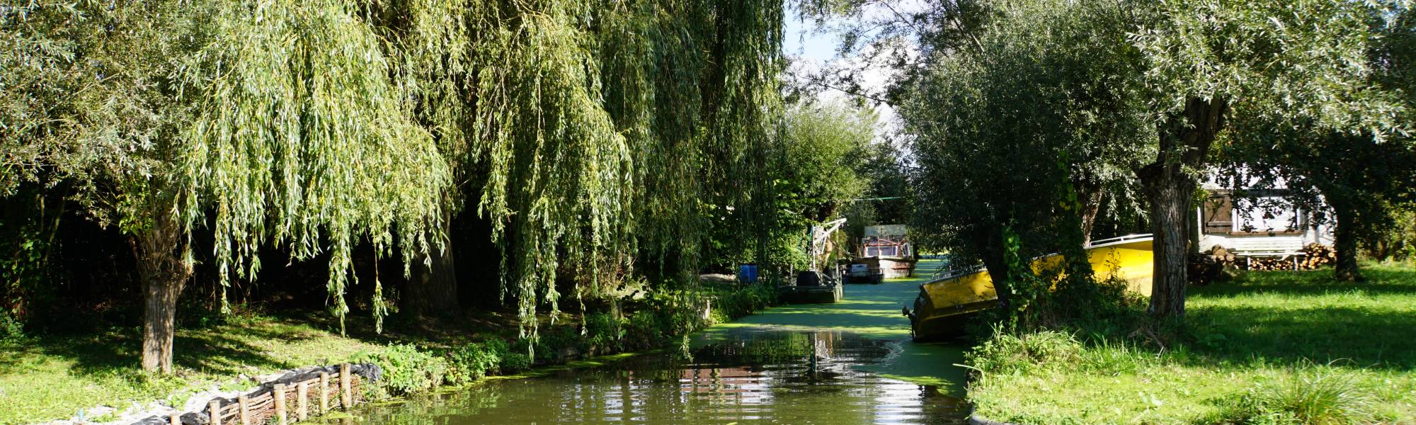 Marais de Nieurlet.JPG