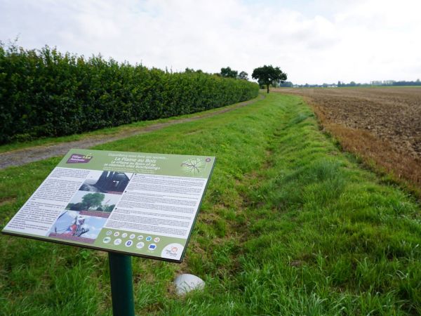 La Plaine au Bois Esquelbecq (3).JPG