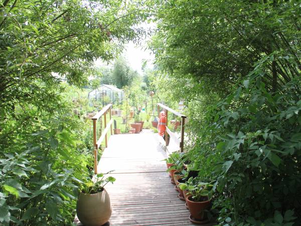 la sauvagine vers le jardin pédagogique.JPG