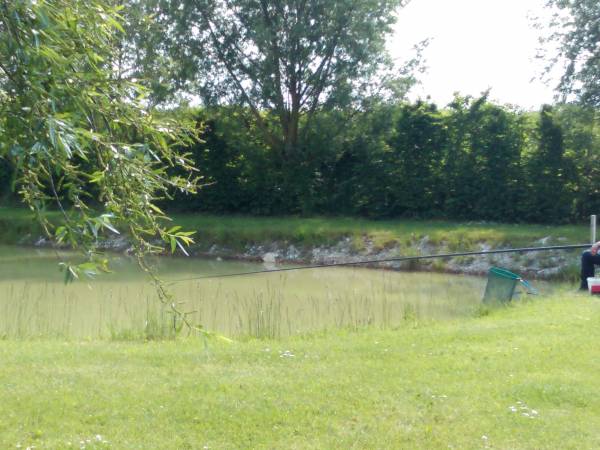 le groene veld etang occupé.jpg