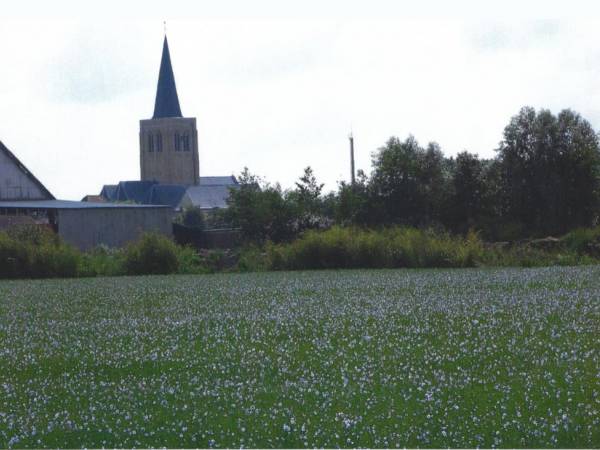 église et champs de lin Killem.JPG