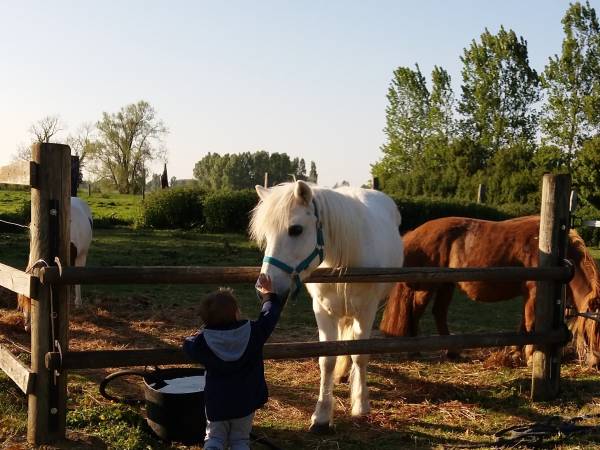 ranch san sequoia (1).jpg