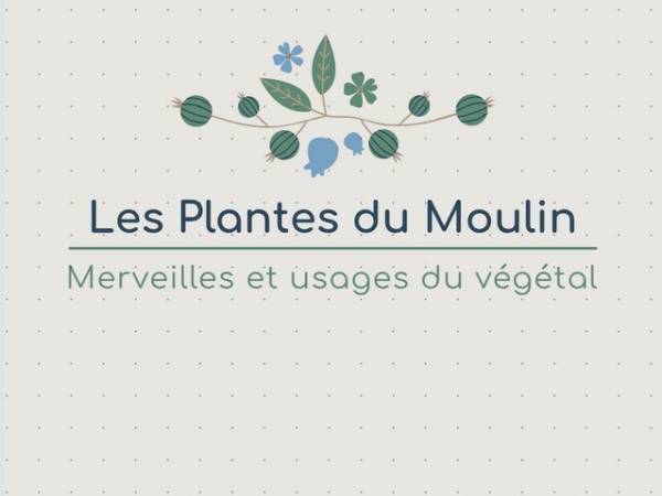 plantes-du-moulin-fond-clair 2025 (source tourinsoft).jpg