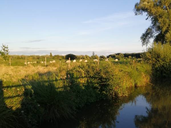 Marais eau mouton EQ.jpg