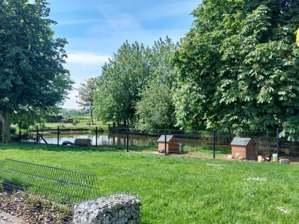 La Petite Ferme Flamande bassin (source Tourinsoft 2025).jpg