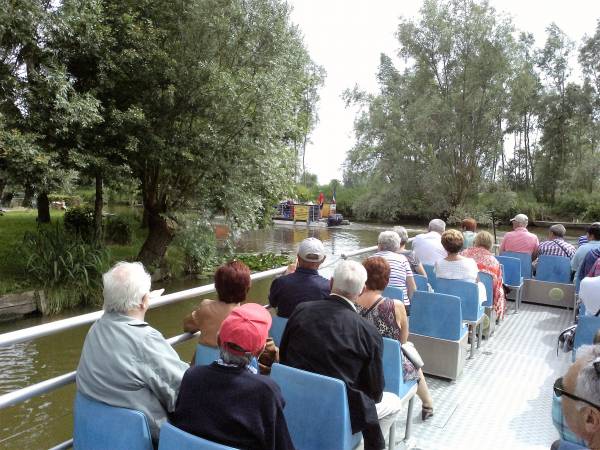 Le brouckailler groupe sur marais.jpg