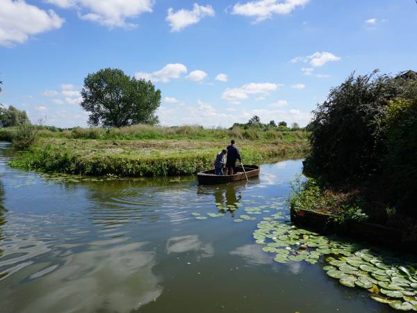 Marais à Nieurlet.JPG