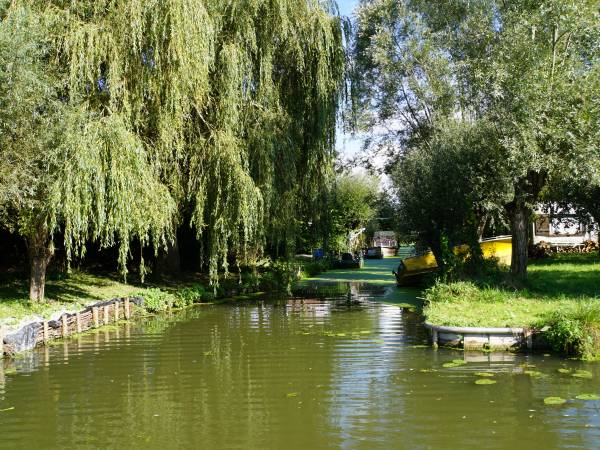 Marais de Nieurlet.JPG