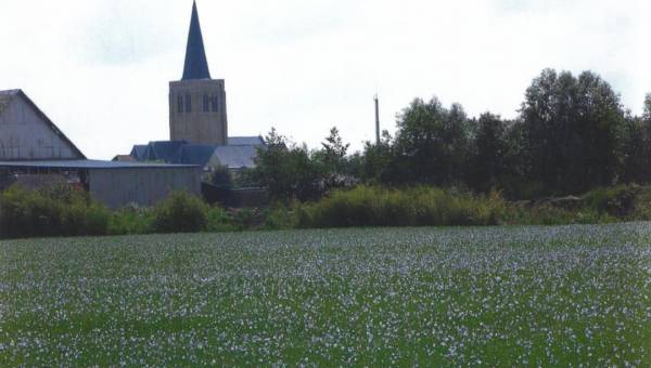 église et champs de lin Killem.JPG