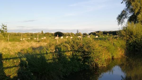 Autour des Polders