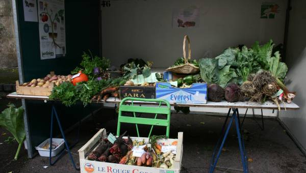 Les Jardins Familiaux de Bergues