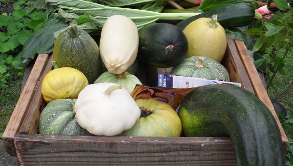 Week-end des Jardins Anciens et du Bien-Être