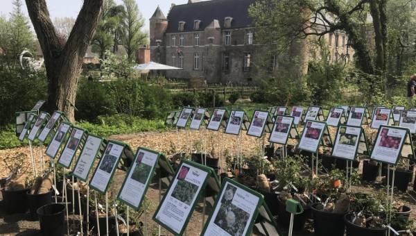 Fête des Jardins à la Flamande