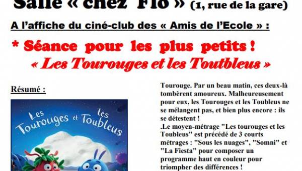 les tourouges et les toutbleus cinéma St Pierrebrouck.JPG
