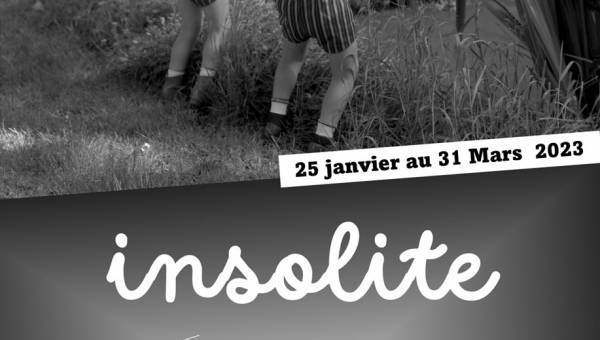 exposition insolite Wormhout.jpg