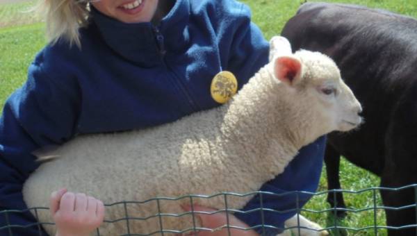 Visite de la Petite Ferme Flamande