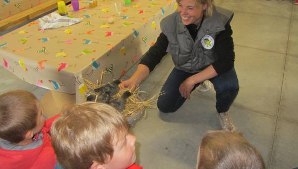 La Petite Ferme Flamande De kleine Vlaamse boerderij