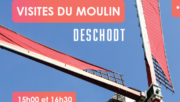Capture d'écran 2025-04-10 095235.png