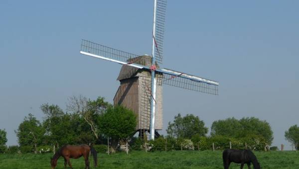 moulin Pitgam avec chevaux.JPG