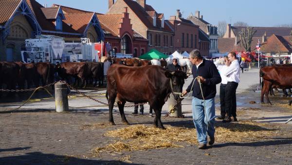 Foire des Rameaux (Palmzondag-jaarmarkt)