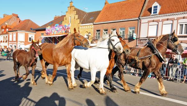 The Karyole Feest